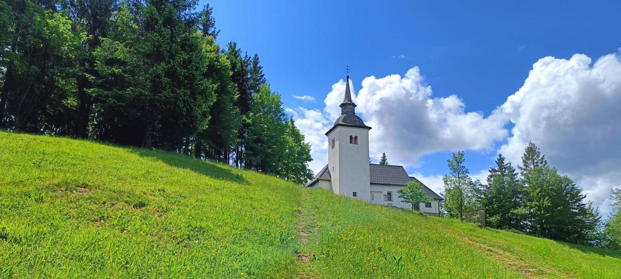 Haus Lagma Studio Zelezniki Bagian luar foto